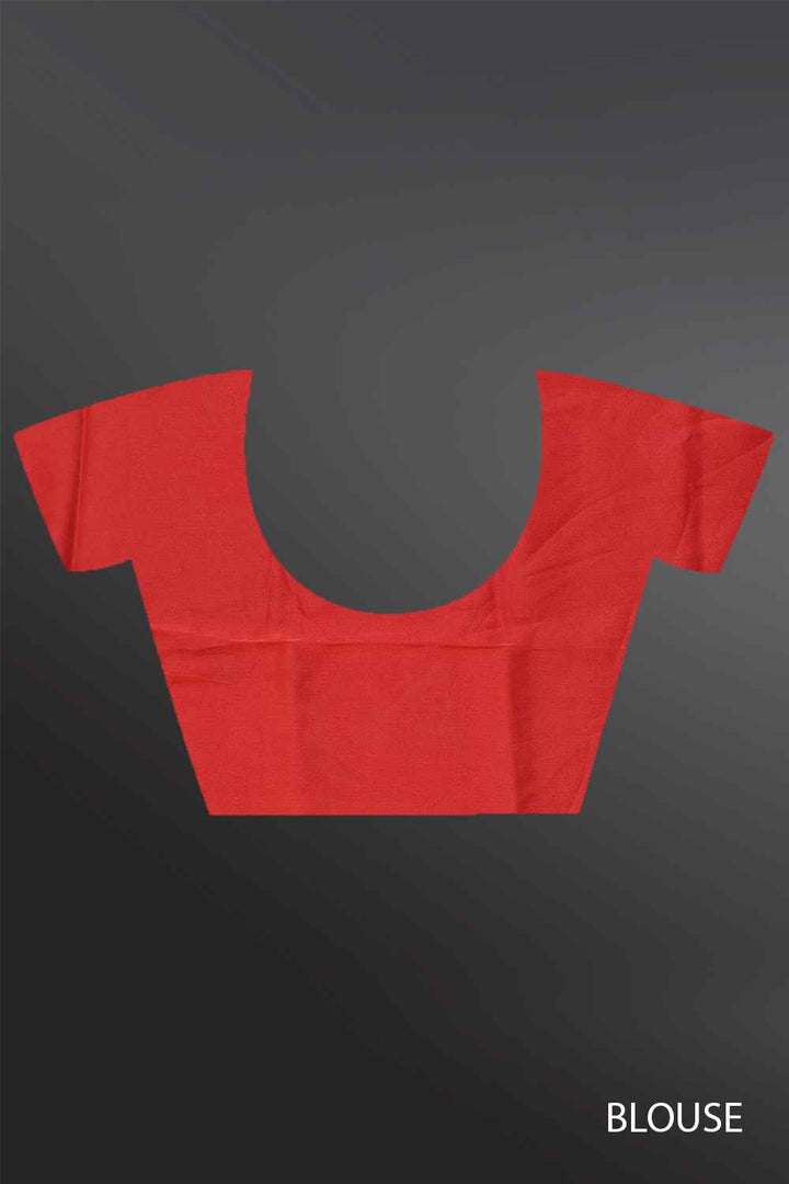 Organza Saree with Zari Border